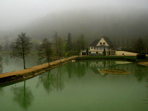 misty lake house